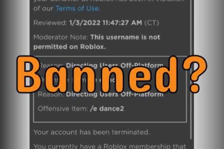 Why is Roblox Banned